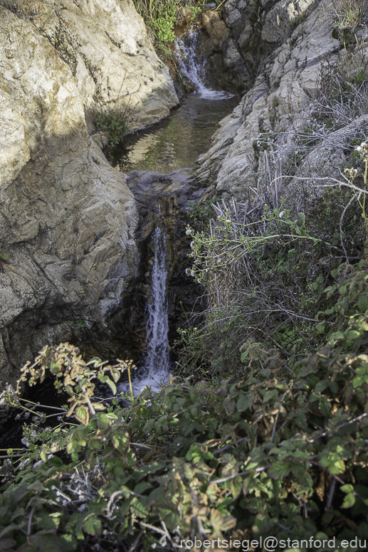 Garrapata State Park